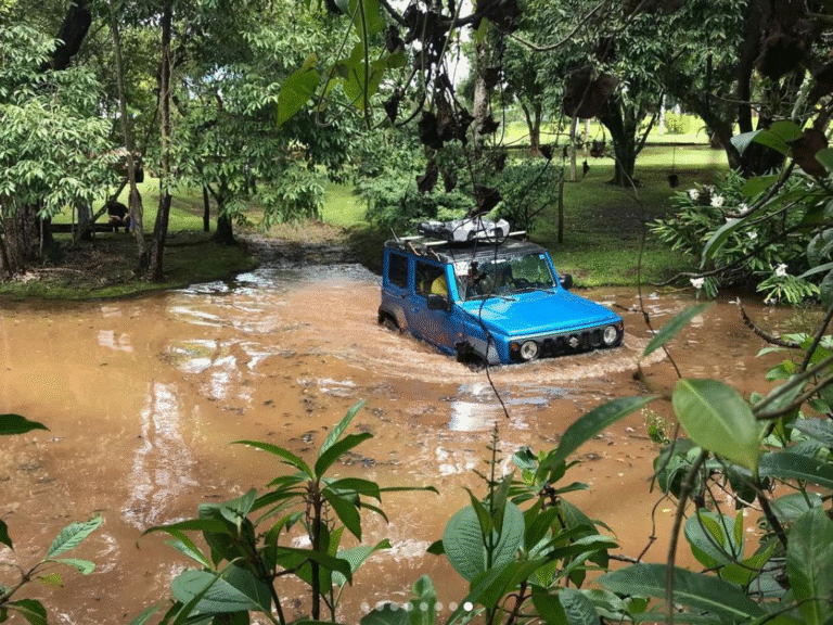 off road raceville